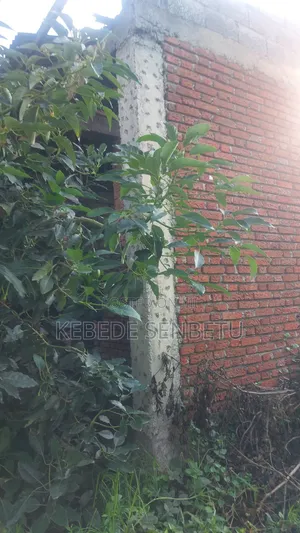 4bdrm House in Oromia, East Shewa for sale