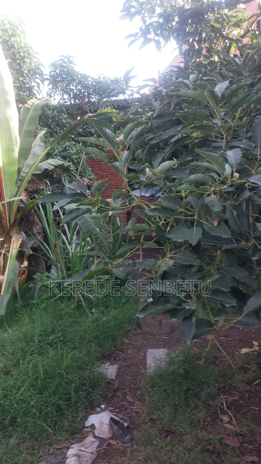 4bdrm House in Oromia, East Shewa for sale
