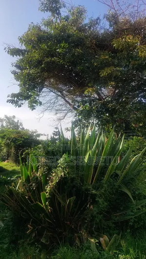 4bdrm House in Oromia, East Shewa for sale