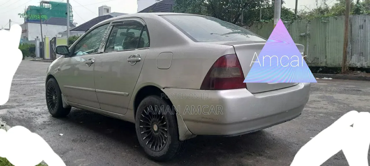 Toyota Corolla 2001 Gray