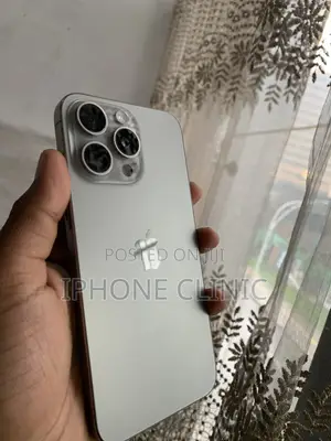 Apple iPhone 15 Pro Max 256 GB Gray