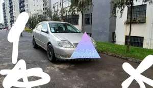 Toyota Corolla 2001 Gray