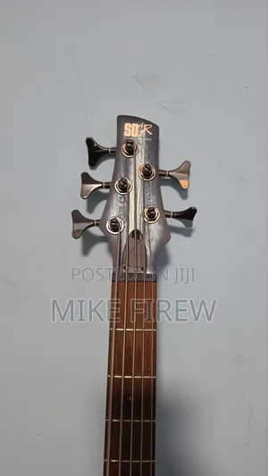 Bass Guitar