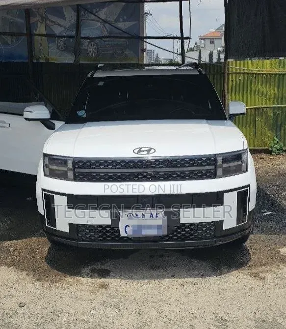 Hyundai Santa Fe 2024 White