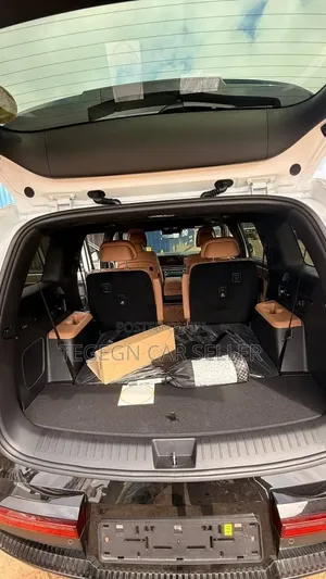Hyundai Santa Fe 2024 White
