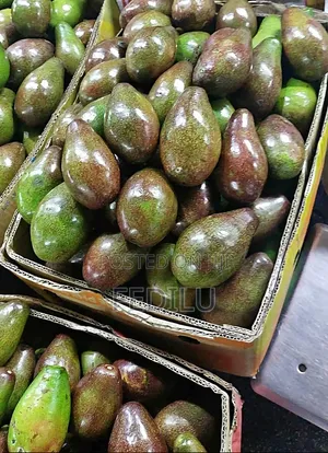 If You Need Avocado Fruits for Buy Total Biyajo