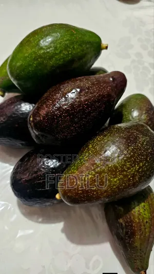 If You Need Avocado Fruits for Buy Total Biyajo