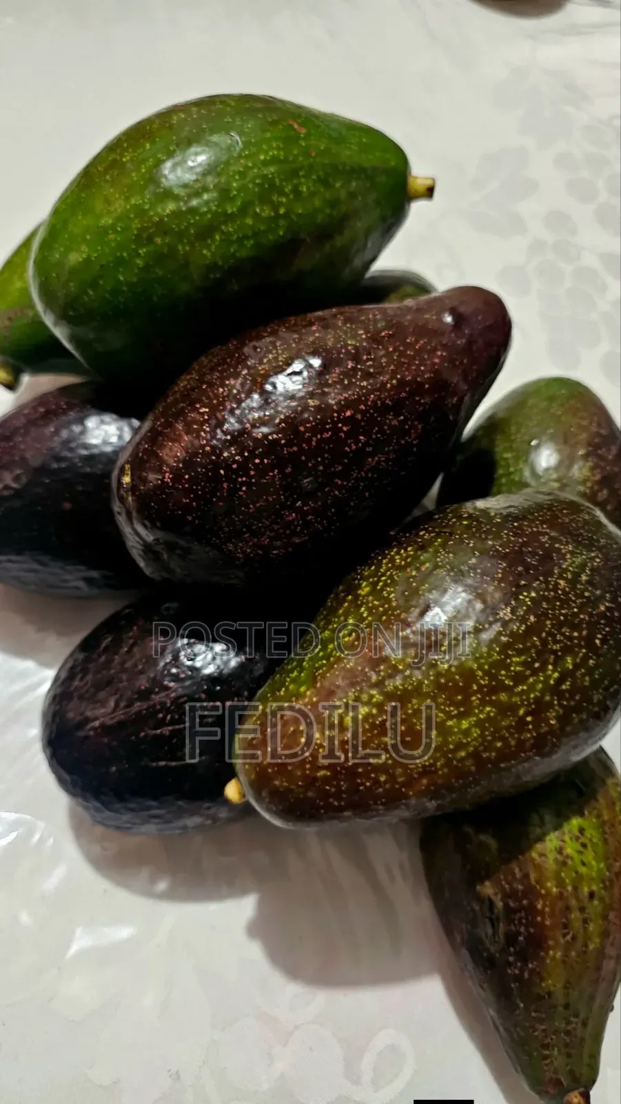 If You Need Avocado Fruits for Buy Total Biyajo