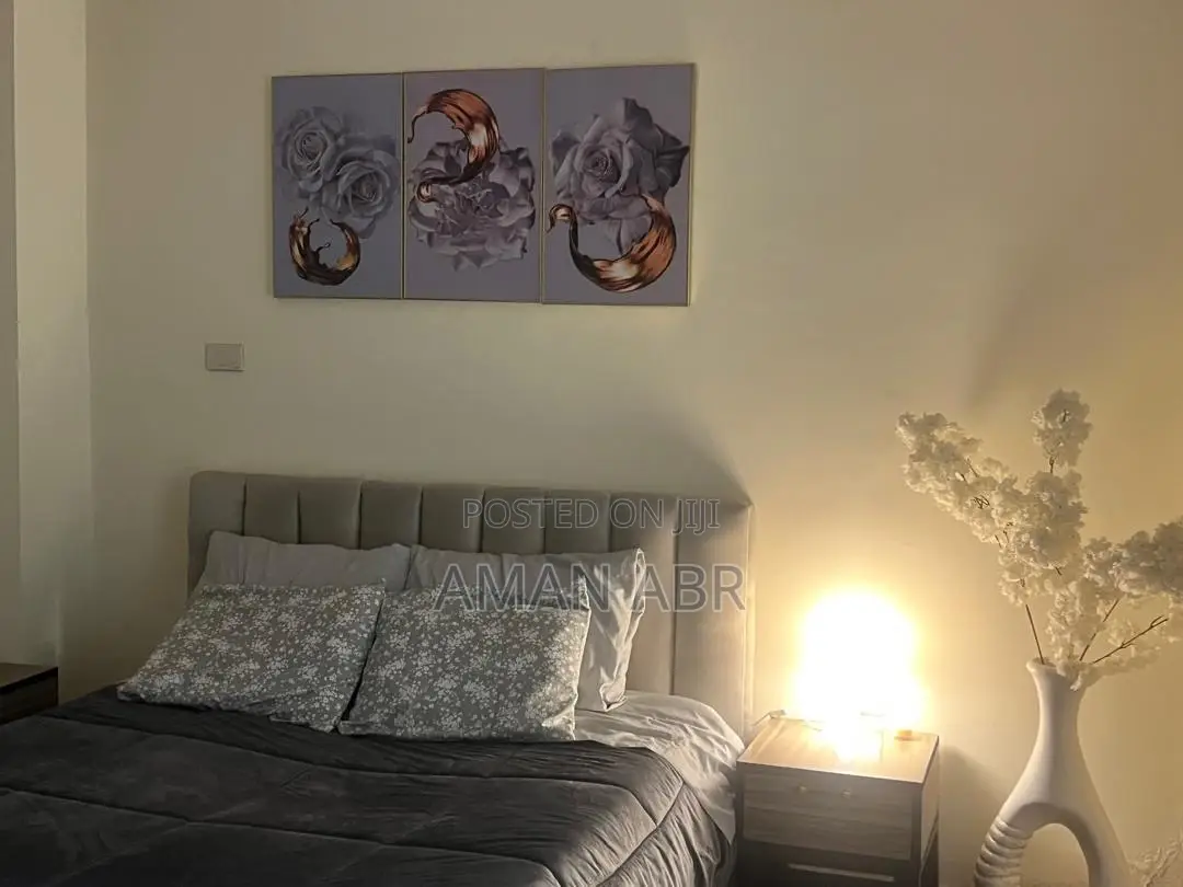 Furnished 2bdrm Apartment in Bole for rent