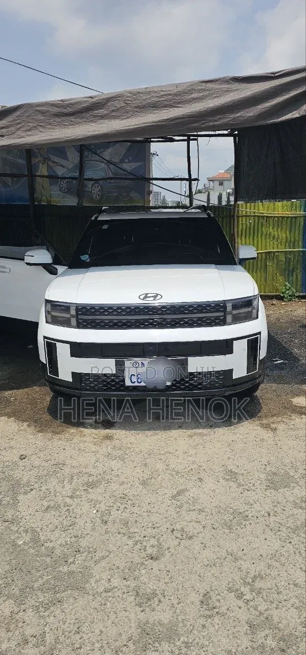 Hyundai Santa Fe 2024 White