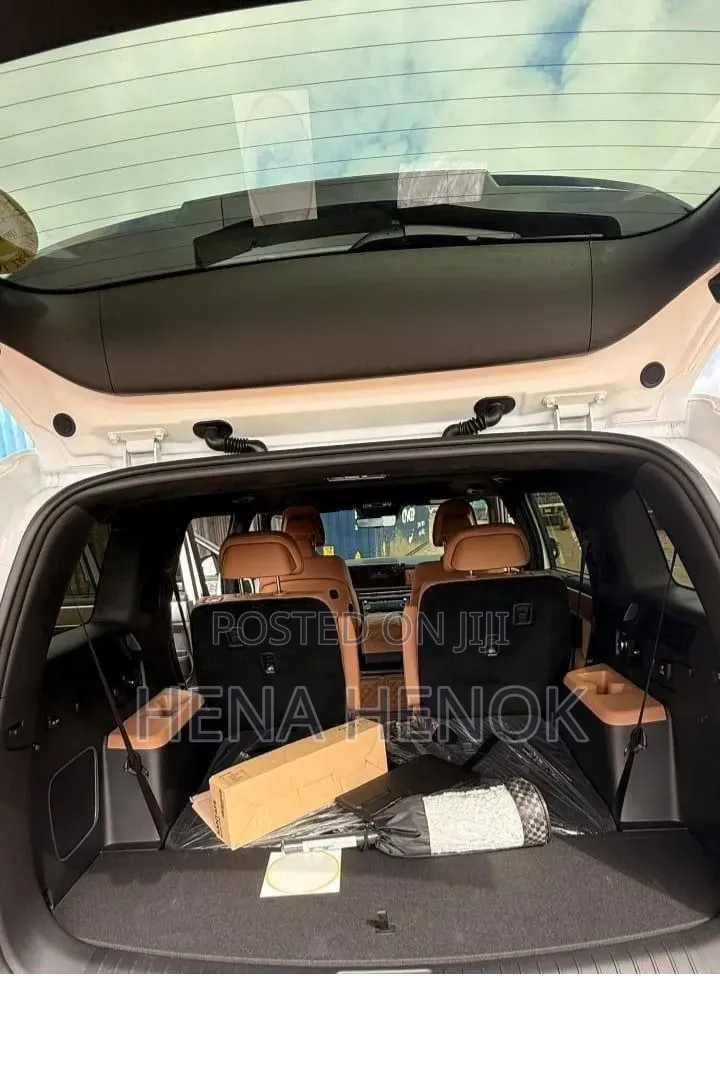 Hyundai Santa Fe 2024 White