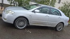 Toyota Corolla 2007 Purple