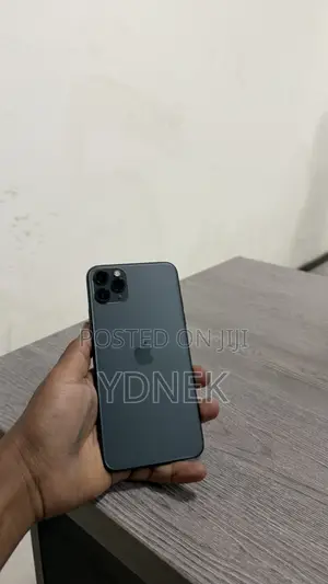 Apple iPhone 11 Pro Max 64 GB Gray
