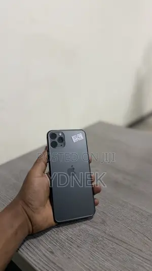 Apple iPhone 11 Pro Max 256 GB Gray