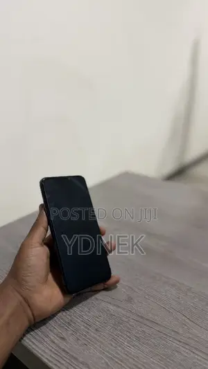Apple iPhone 11 Pro Max 256 GB Gray