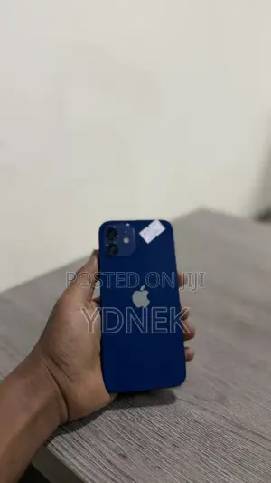 Apple iPhone 12 256 GB Blue