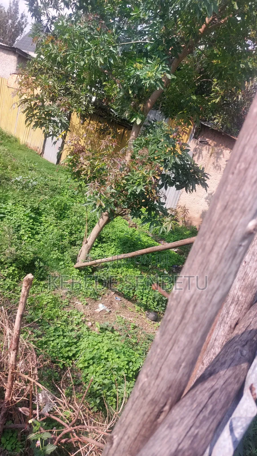 1bdrm House in Oromia, East Shewa for sale