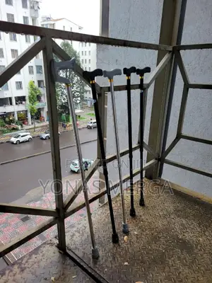 Walking Stick/Cane矽台standing ምርኩዝ፮糰confidently Take Their Cane Outdoor