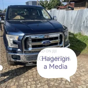 Ford F-150 2015 Blue