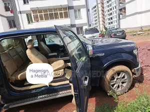 Ford F-150 2015 Blue