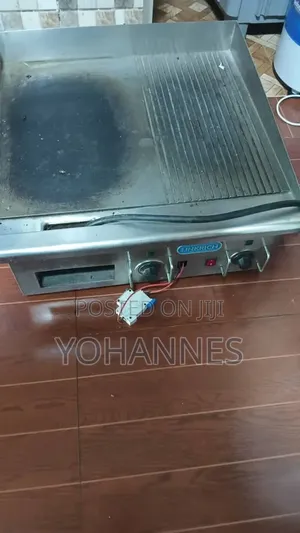 Berger Grill and Chips Fryer