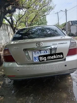 Toyota Corolla 2006 Gray