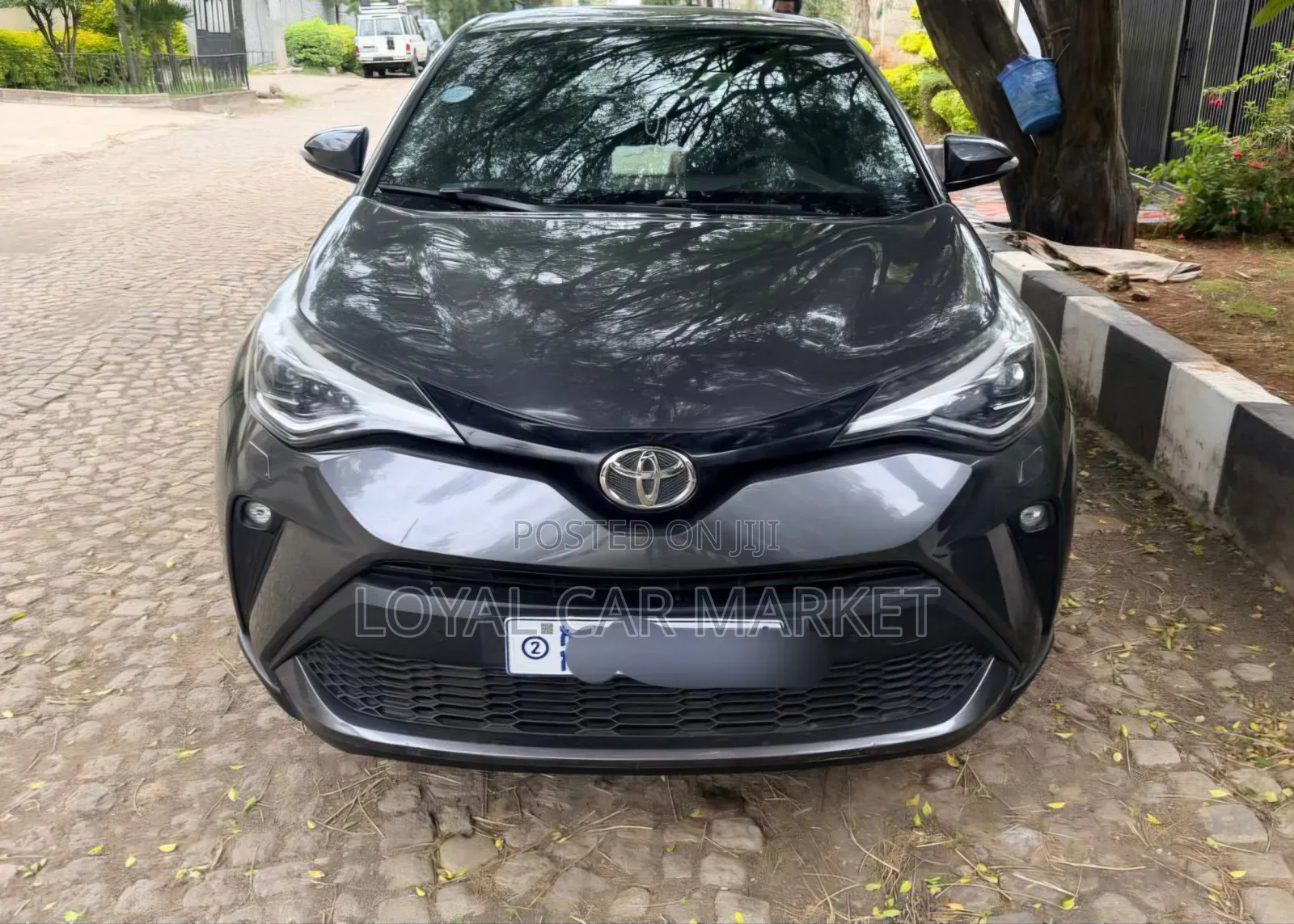 Toyota C-HR 2021 Gray