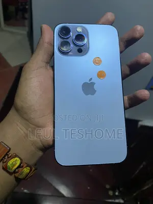 Apple iPhone 13 Pro Max 256 GB Blue