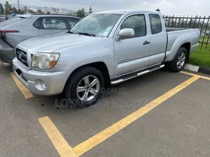 Toyota Tacoma 2007 Gray