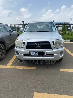 Toyota Tacoma 2007 Gray