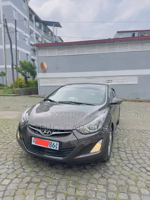 Hyundai Elantra 2014 Brown
