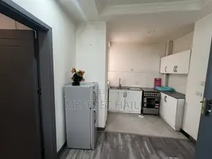 Furnished 1bdrm Apartment in 22, Bole for rent