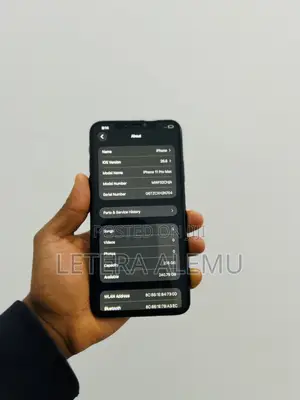 Apple iPhone 11 Pro Max 256 GB Green