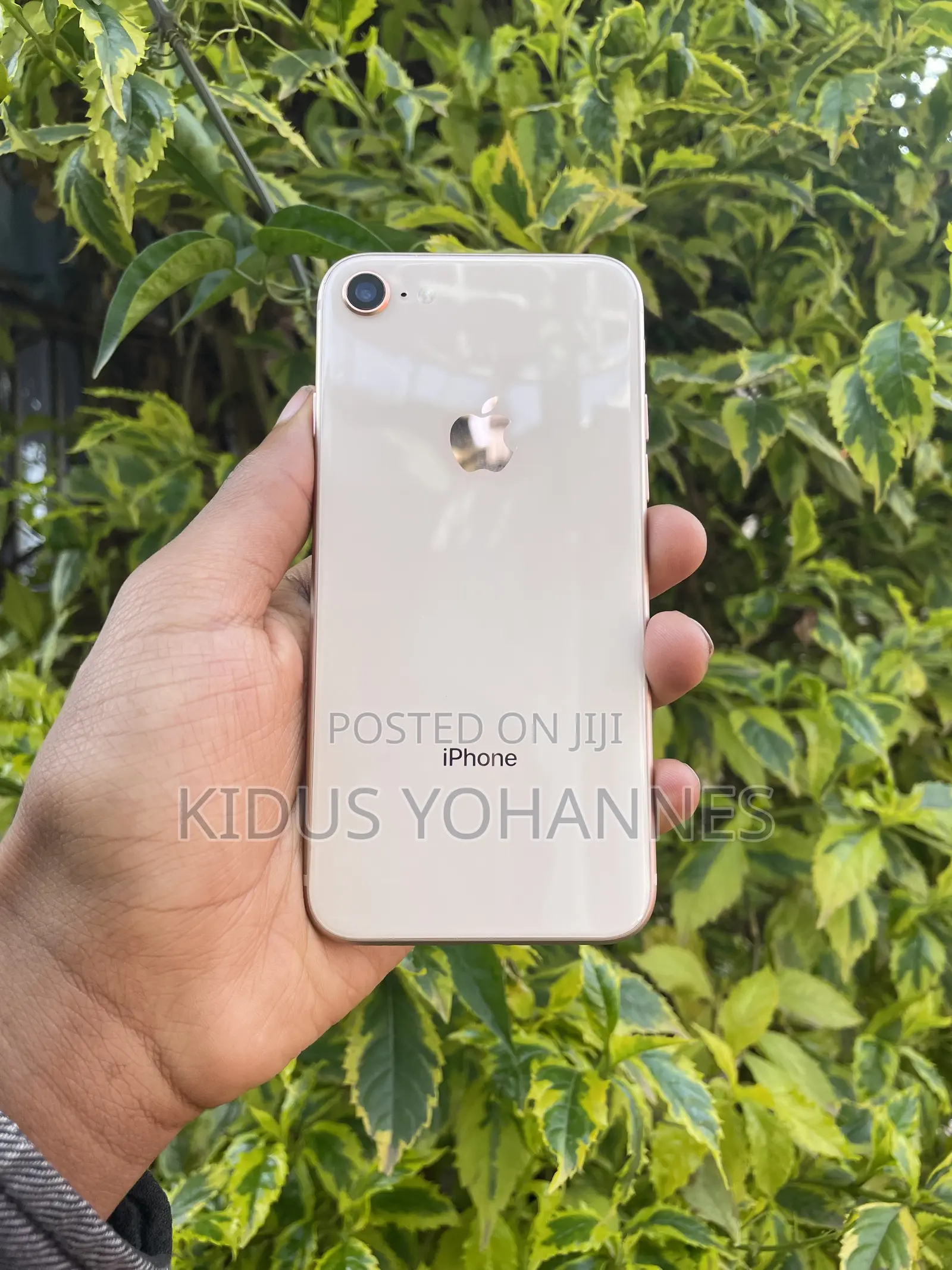 Apple iPhone 8 64 GB Gold