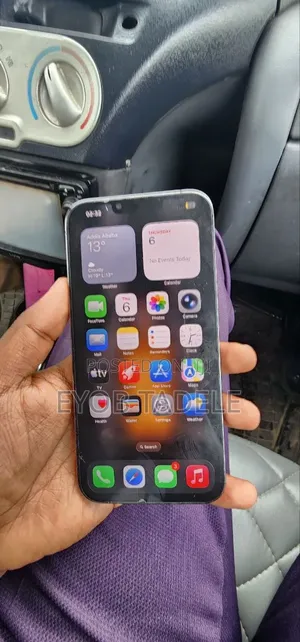 Apple iPhone 13 Pro Max 256 GB Gray