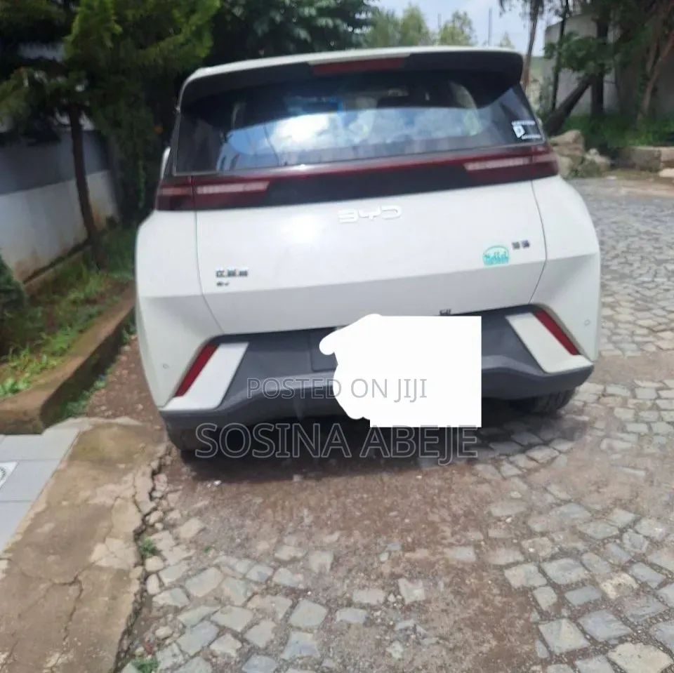 BYD Seagull 2024 White