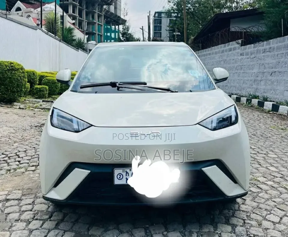 BYD Seagull 2024 White