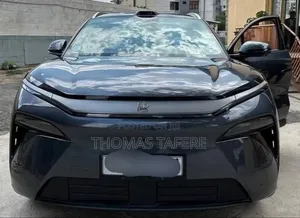 BYD Tang EV 2025 Gray