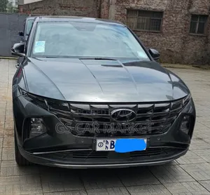 Hyundai Tucson Limited 2021 Gray
