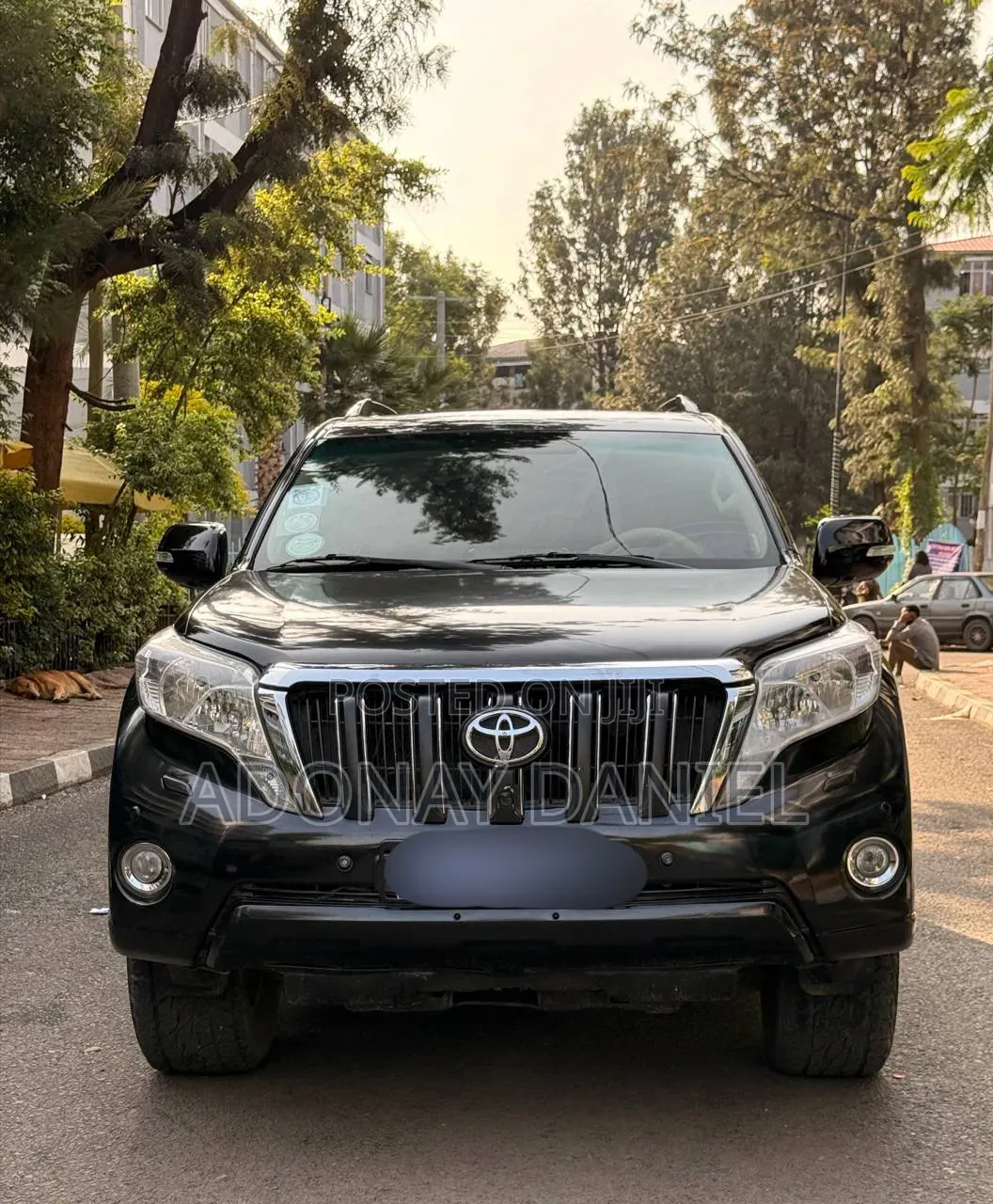 Toyota Land Cruiser 2015 Brown