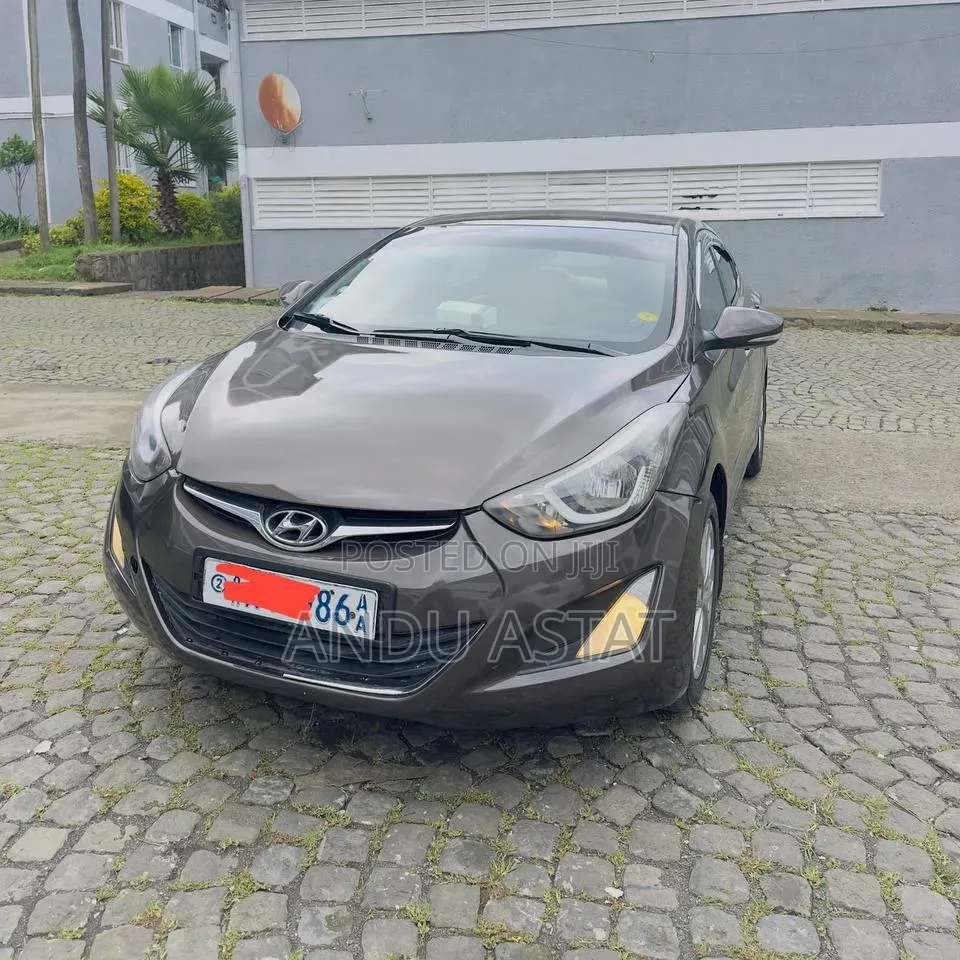 Hyundai Elantra 2014 Brown