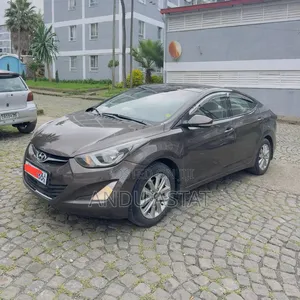 Hyundai Elantra 2014 Brown