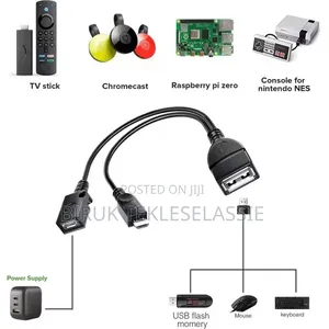 2-in-1 OTG USB to Micro USB Splitter Adapter for Fire Stick