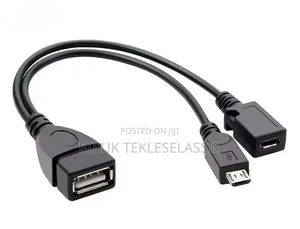 2-in-1 OTG USB to Micro USB Splitter Adapter for Fire Stick