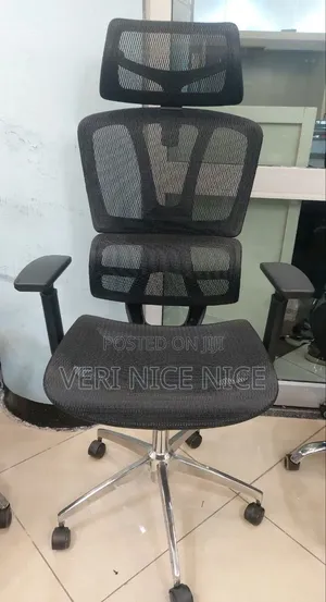 Fulle Meshe Erigonomice Chairs