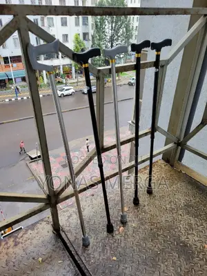 Walking Stick/Walking Cane Oldies畚岒positive Feedback for Its Utility