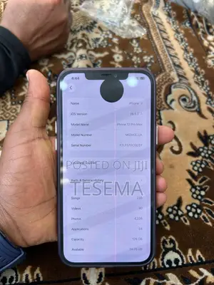 Apple iPhone 12 Pro Max 128 GB Gray