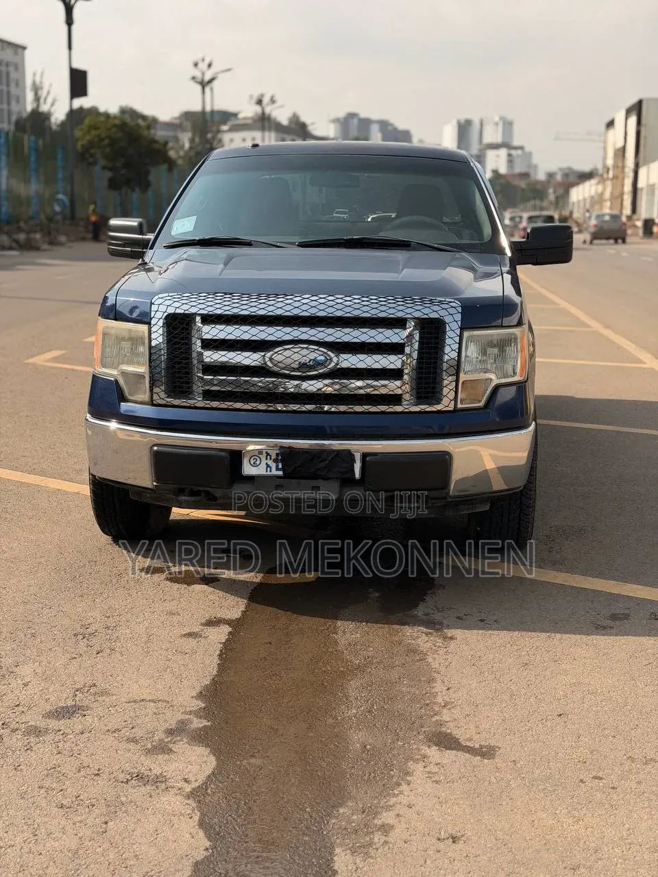 Ford F-150 2012 Blue