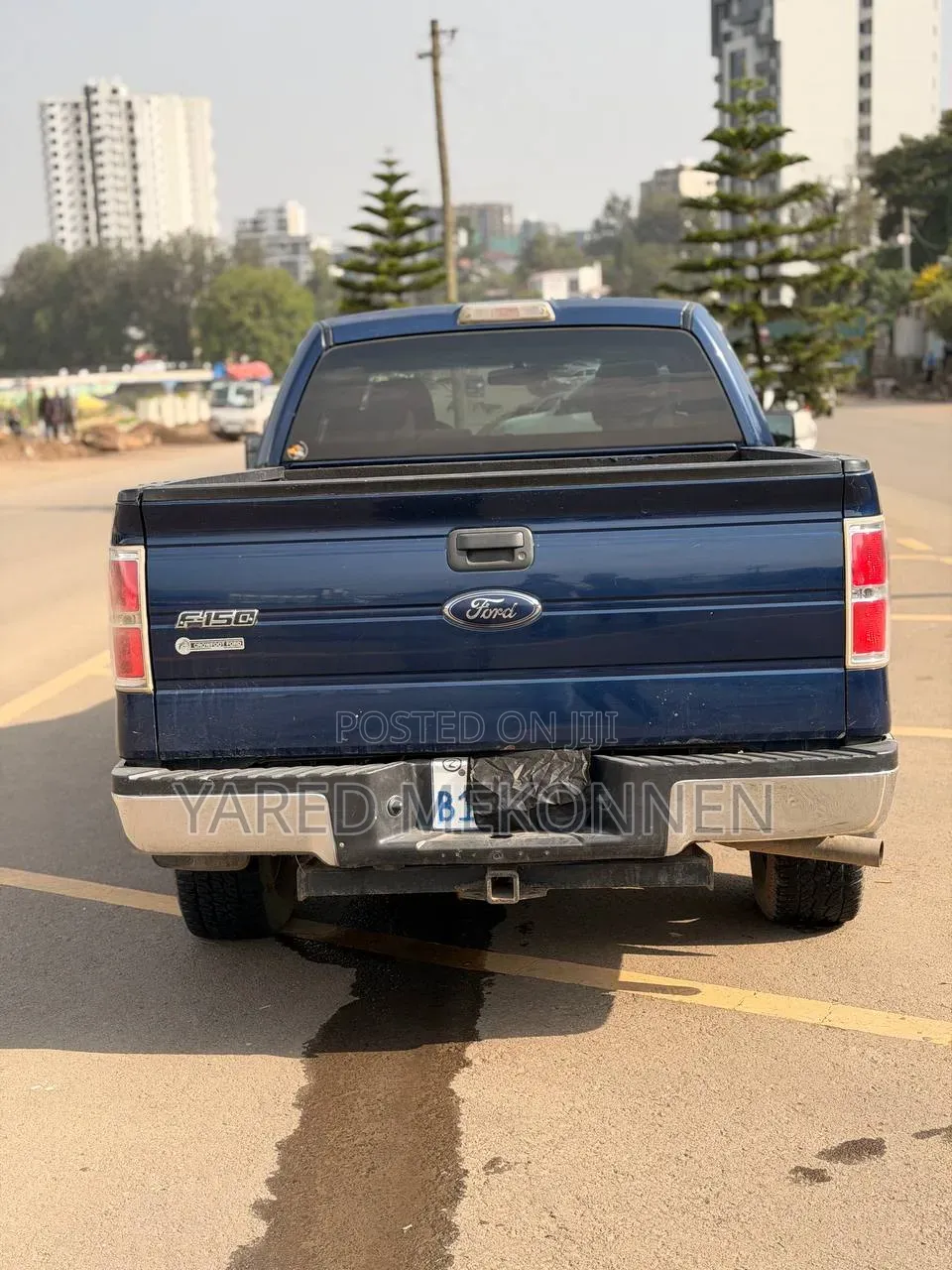 Ford F-150 2012 Blue