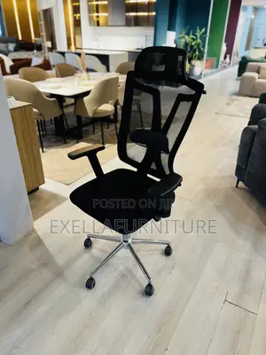Ergonomic Managerial Office Chair | Mesh Executive Chair | Adjustable